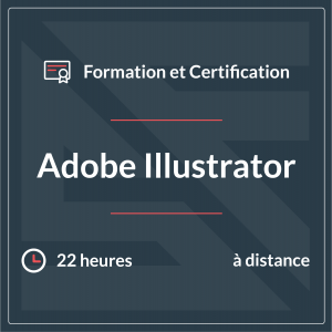 Adobe_Graphic-Design-Illustration-using-Adobe-Illustrator-2021-1