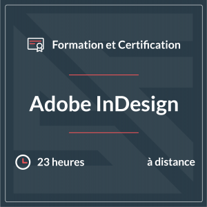 Adobe_Print-Digital-Media-Publication-using-Adobe-InDesign-2021-1