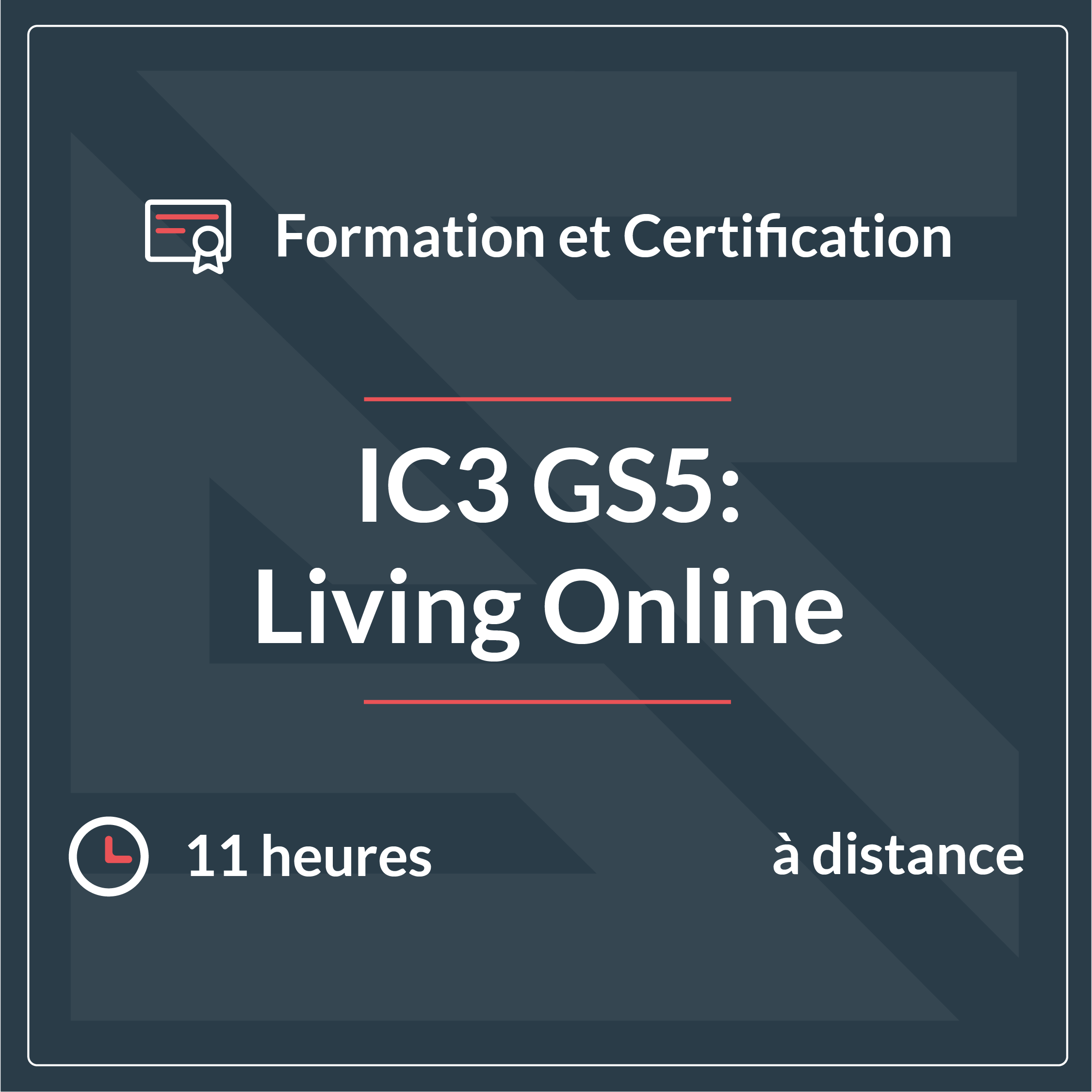 IC3 GS5 : Living online