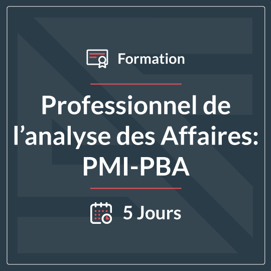 PROFESSIONNEL(LE) DE L’ANALYSED’AFFAIRES (PMI-PBA)