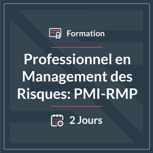 PROFESSIONNEL EN MANAGEMENT DURISQUE (PMI-RMP)