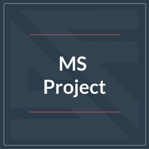 MS-project