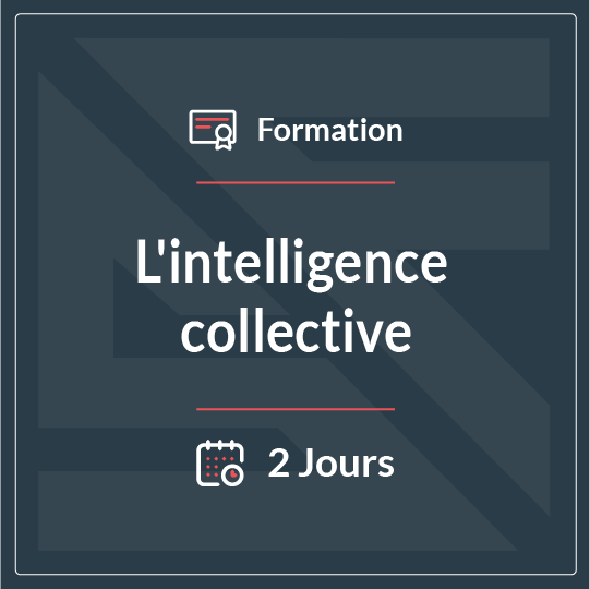 L’intelligence collective