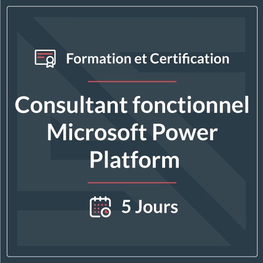 Consultant fonctionnel Microsoft Power Platform